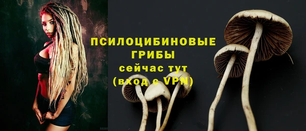 ALPHA PVP Горнозаводск