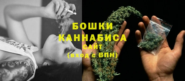 крисы Горно-Алтайск