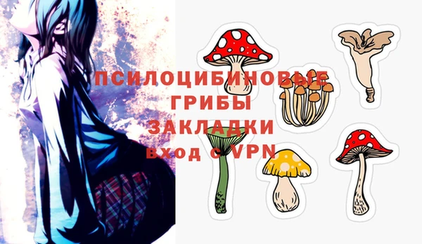 крисы Горно-Алтайск