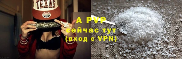 СК Горняк